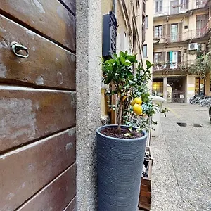 Apartment La Casetta In Colonne Italy